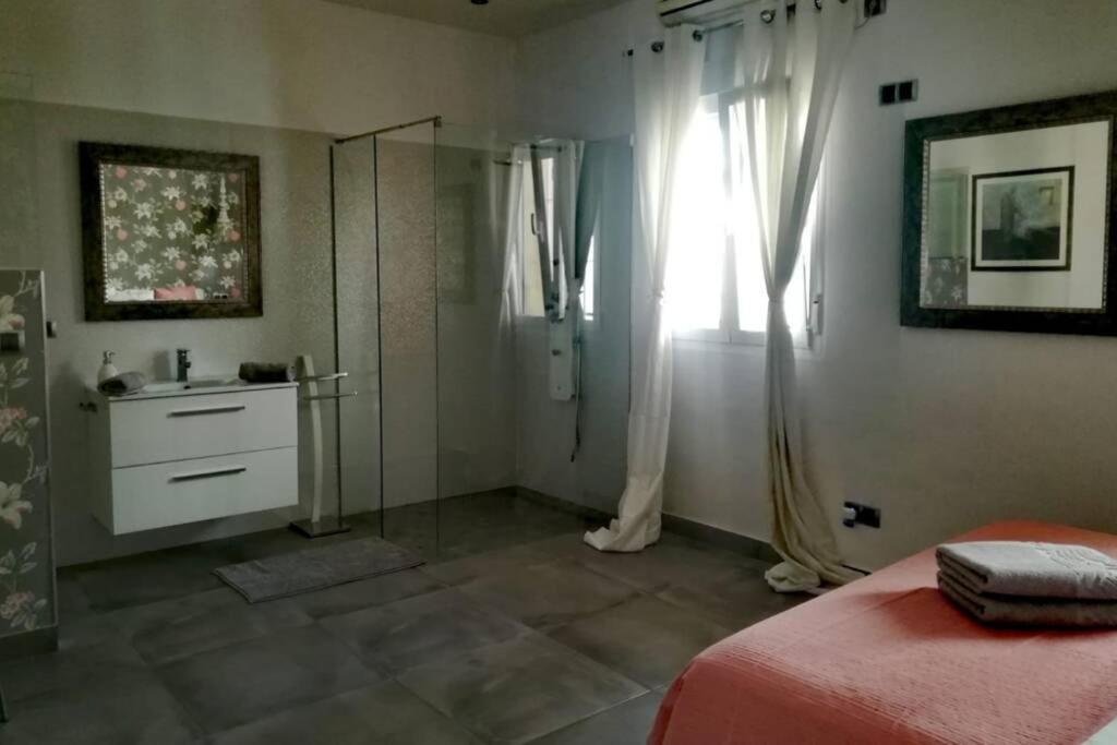 El Patio De San Bernardo Apartment Seville Ngoại thất bức ảnh