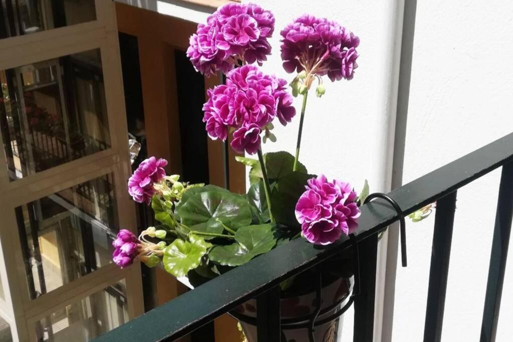 El Patio De San Bernardo Apartment Seville Ngoại thất bức ảnh