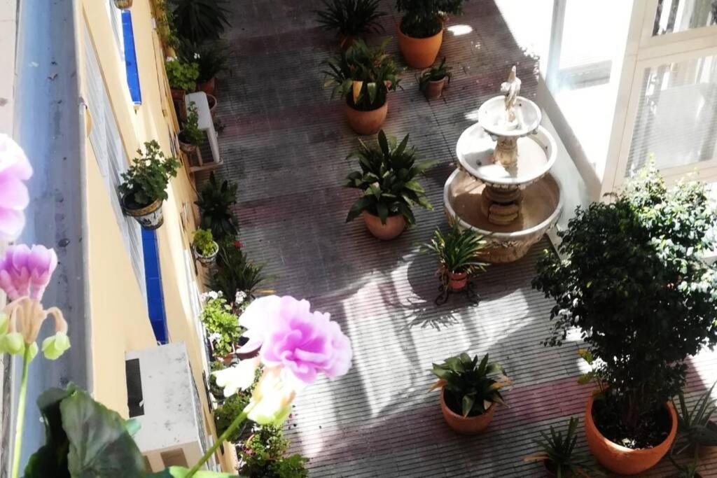 El Patio De San Bernardo Apartment Seville Ngoại thất bức ảnh
