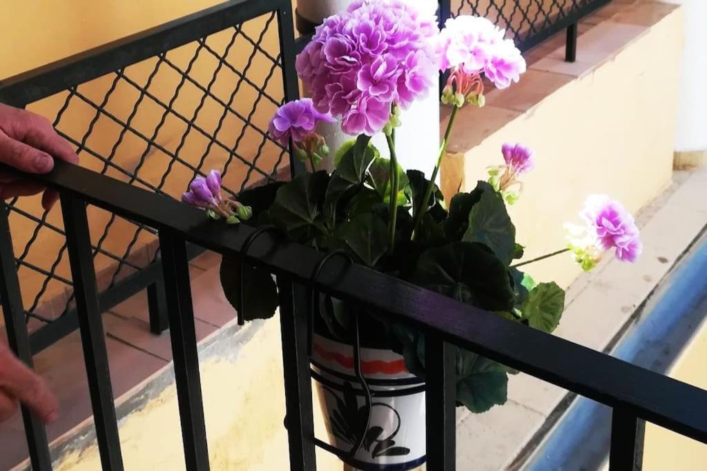 El Patio De San Bernardo Apartment Seville Ngoại thất bức ảnh